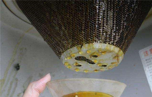 泰州清洗油烟机多少钱_专业服务