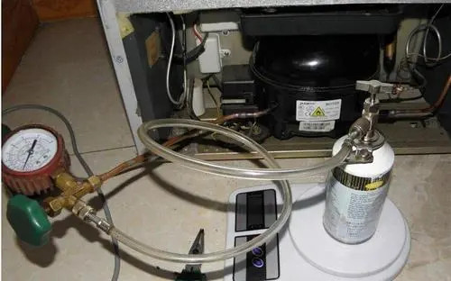 ޱŵ绰_24Сʱ