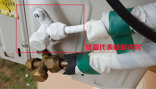 ݿյҺŵ绰