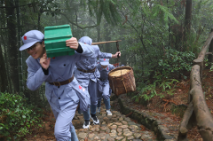 井冈山红色教育培训课程介绍