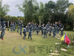 上海企业户外拓展活动 上海户外素质拓