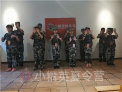 上海参加暑期夏令营活动 上海哪个夏令