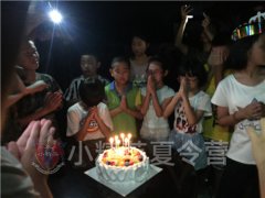 上海夏令营学习 上海2020中学生暑假夏令