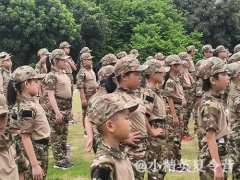 深圳报名夏令营要多少钱?