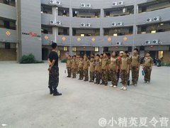 深圳哪有适合学生的夏令营?