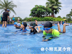 泉州游泳夏令营报名电话