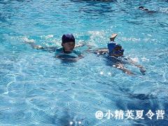 泉州暑期游泳夏令营报名点