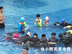 漳州中小学生学游泳去哪里好?