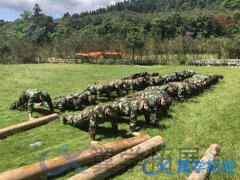 泉州军事拓展公司,泉州军事拓展活动